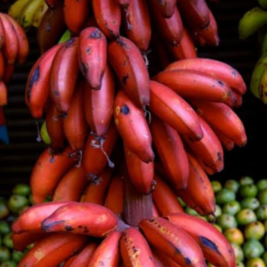 REd Banana / Kappa Vazha