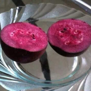 Purple Kullan Guava